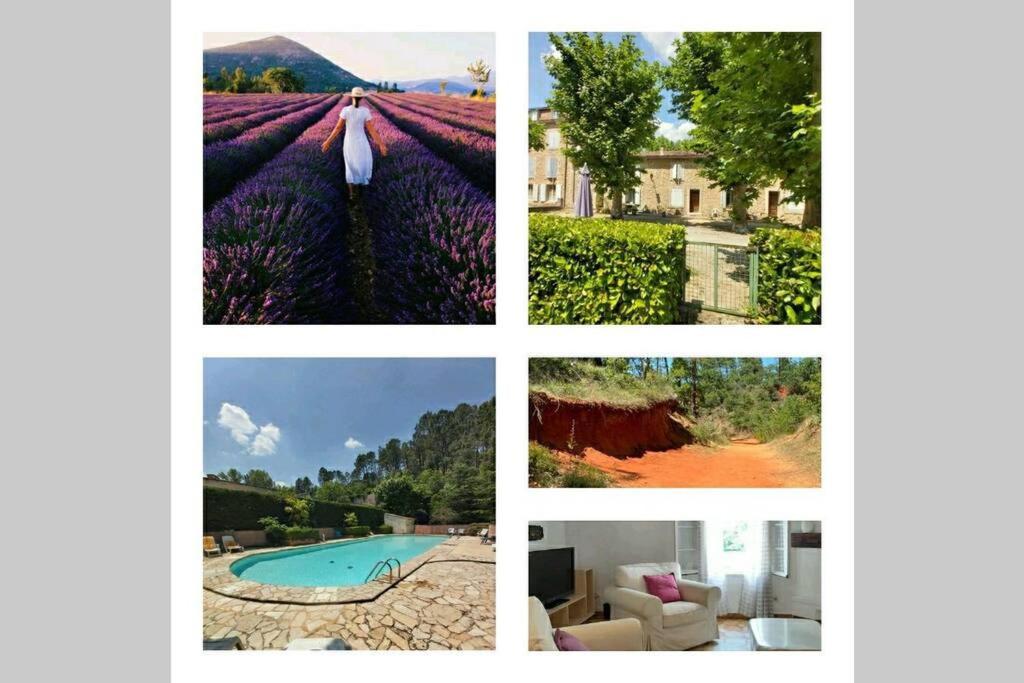 Résidence Provençale: Oasis au Colorado Provençal avec Piscine Rustrel Exterior photo